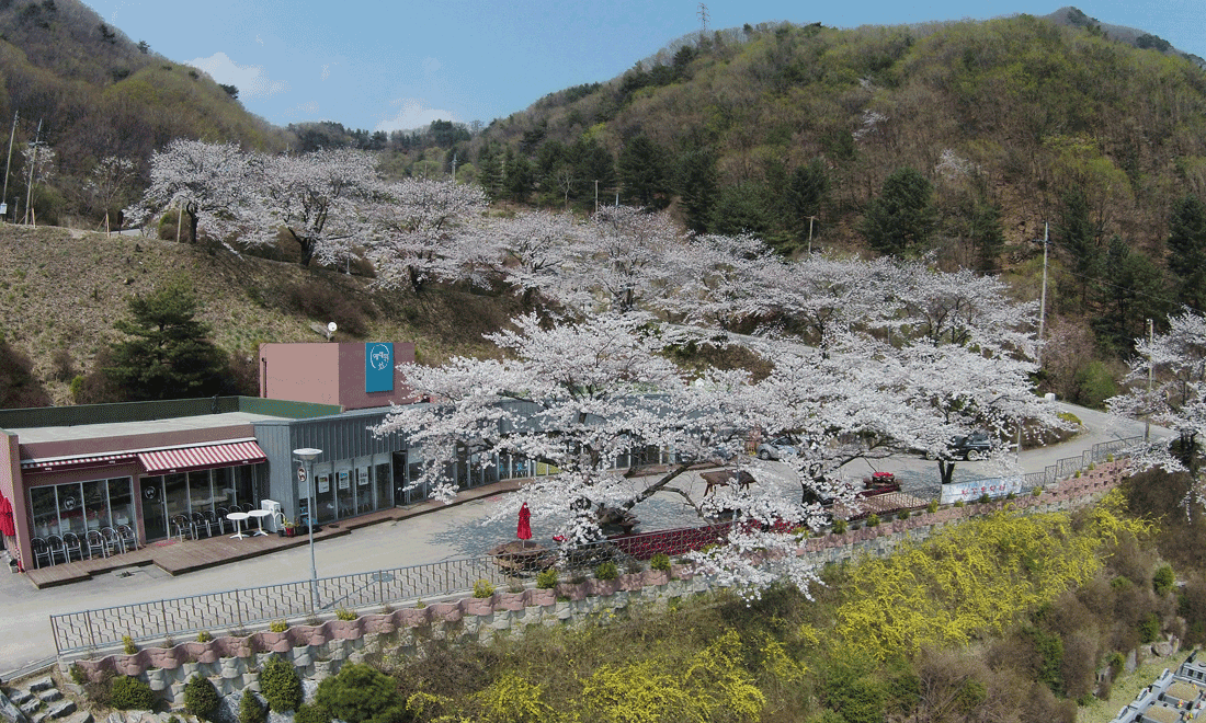 관리사무소 전경