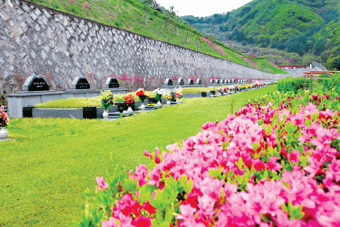 2담 혼합묘 전경