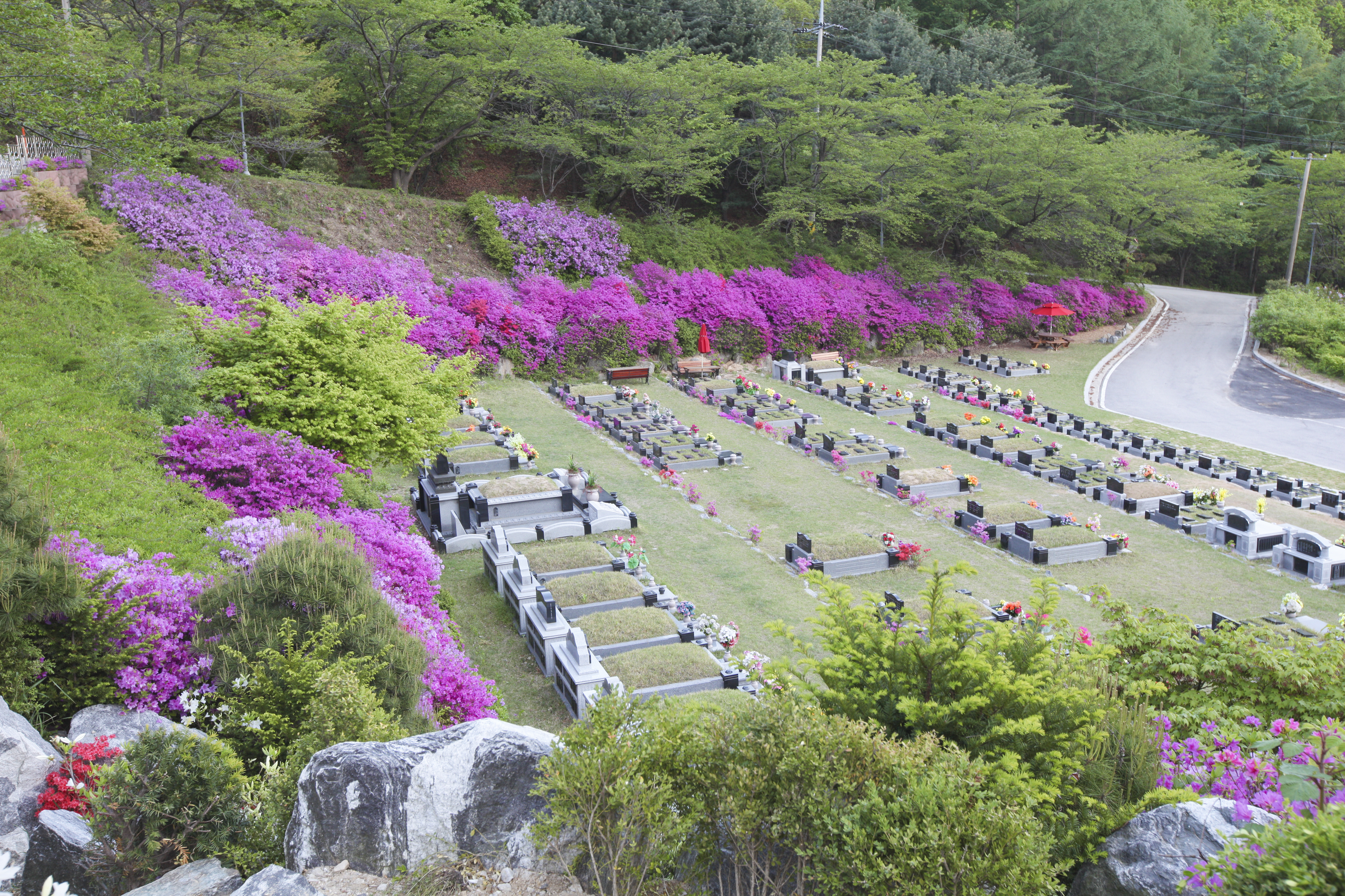 철쭉핀매장묘원