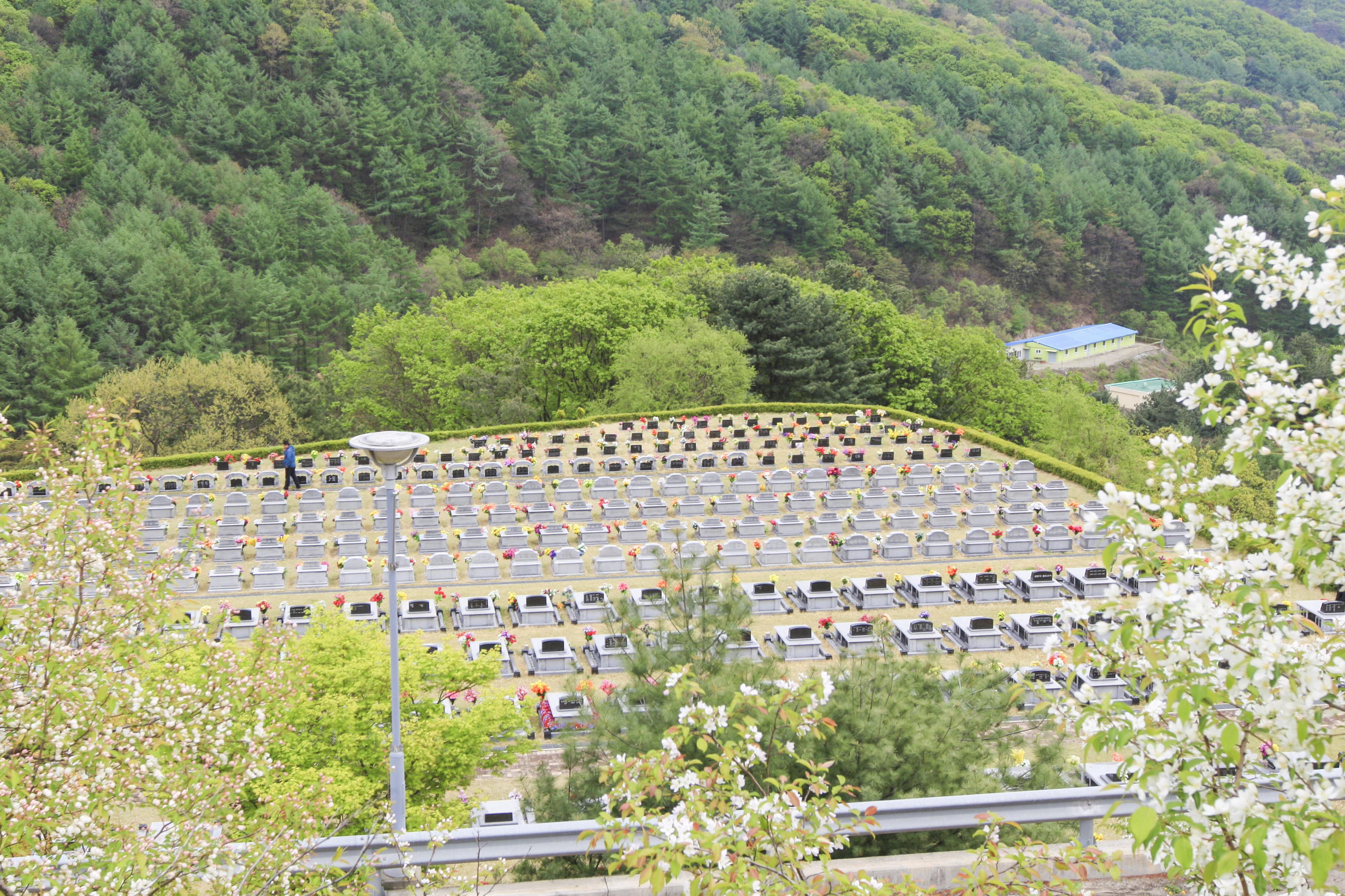 봄꽃핀 1담 전경