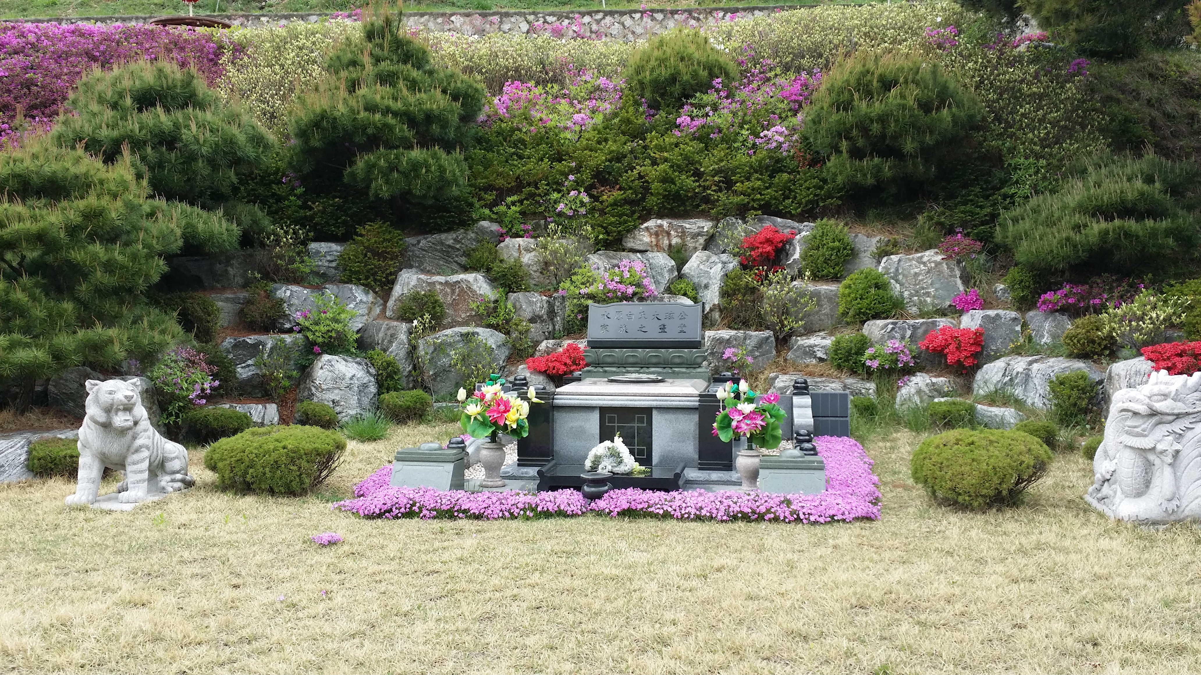 귀여운 보라색꽃을 두른 묘